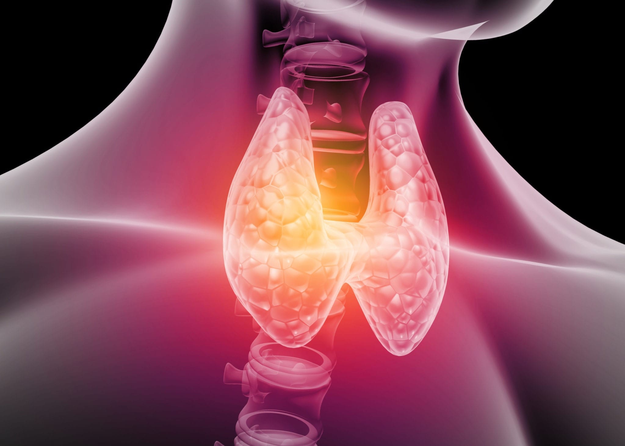 Thyroid Health